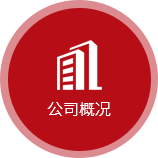 公司概況